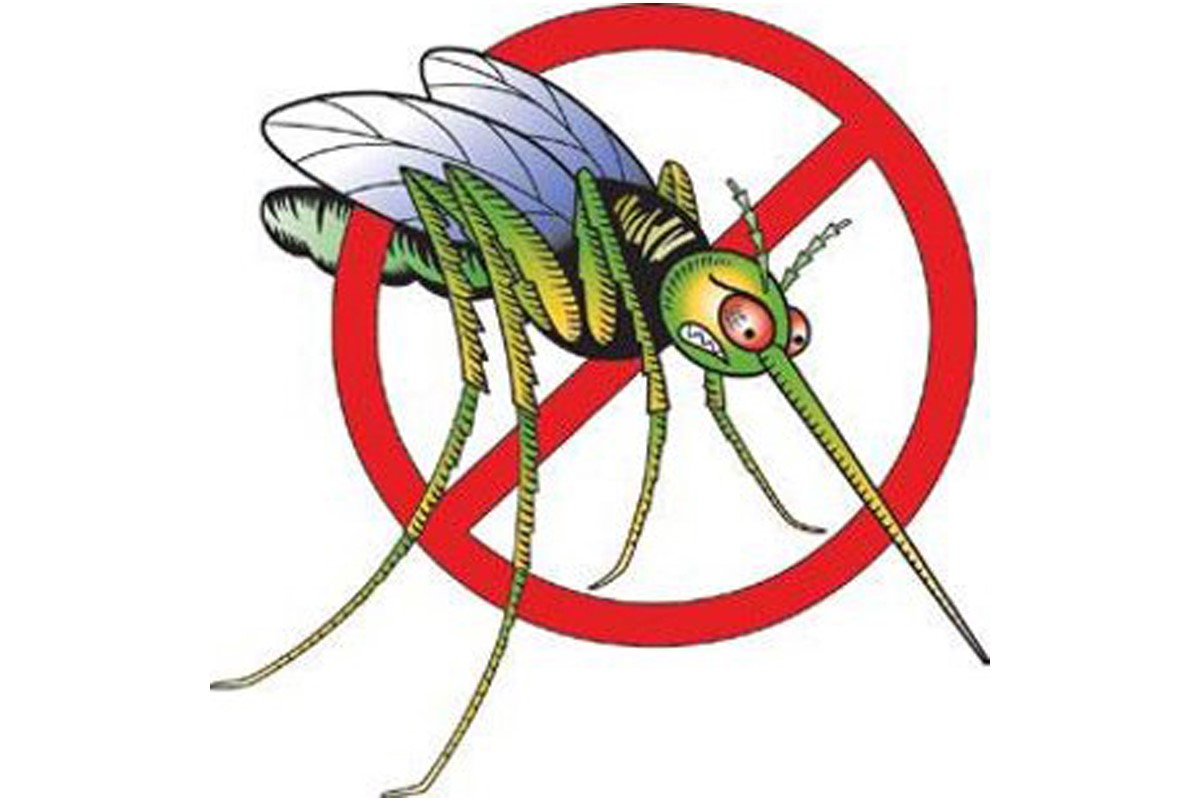 Immgine di una zanzara